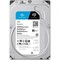 Фото - Накопитель HDD SATA 1.0TB Seagate SkyHawk Surveillance 5400rpm 256MB (ST1000VX013) | click.ua