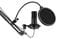 Фото - Микрофон для ПК 2Е MPC021 Streaming | click.ua