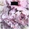 Фото - Весы напольные Ardesto SCB-965PEONIES | click.ua