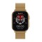 Фото - Смарт-часы iMiki SF1 Gold Magnetic Strap | click.ua