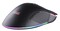 Фото - Мышь беспроводная 2E Gaming MG350 WL Black (2E-MG350UB-WL) | click.ua