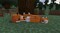 Фото - Гра Minecraft для Sony PlayStation 4, Russian version, Blu-ray (9704690) | click.ua