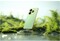 Фото - Смартфон Tecno Spark 20C (BG7n) 4/128GB Dual Sim Magic Skin Green (4894947011764) | click.ua
