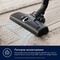 Фото - Пилосос Electrolux EB61C1OG | click.ua