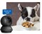 Фото - IP-камера TP-Link Tapo C211 | click.ua