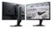 Фото - Монитор Dell 24.5" AW2524HF (210-BJPH) IPS Black 500Hz | click.ua
