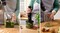 Фото - Блендер Bosch MSM4B621 | click.ua