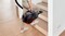 Фото - Пилосос Bosch BGS21POW2 | click.ua