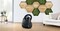 Фото - Пилосос Bosch BGBS2BA1P | click.ua