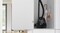 Фото - Пилосос Bosch BGBS2BA1P | click.ua