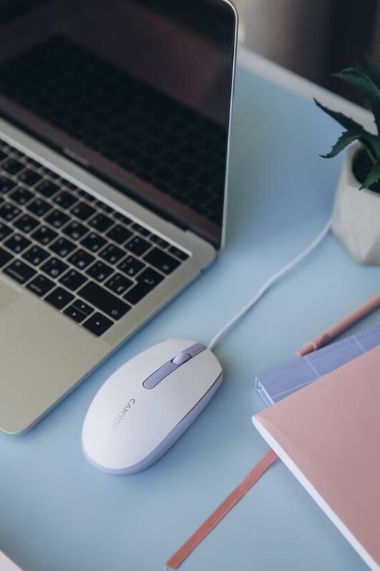 Миша Canyon M-10 USB White Lavender (CNE-CMS10WL)
