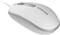 Фото - Миша Canyon M-10 USB White Grey (CNE-CMS10WG) | click.ua