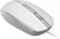 Фото - Миша Canyon M-10 USB White Grey (CNE-CMS10WG) | click.ua