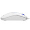 Фото - Мышь A4Tech N-530 White | click.ua