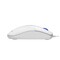 Фото - Мышь A4Tech N-530S White | click.ua