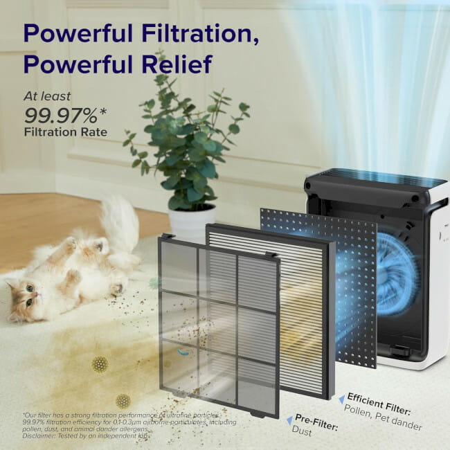 Очиститель воздуха Levoit Vital 100S Smart True HEPA LAP-V102S-WEU (HEAPAPLVSEU0130Y)