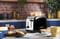 Фото - Тостер Russell Hobbs 26550-56 Colours Plus | click.ua