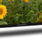 Фото - Телевизор Thomson Android TV 32" HD 32HA2S13 | click.ua
