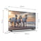 Фото - Телевiзор Thomson Android TV 55" UHD 55UA5S13 | click.ua