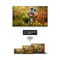 Фото - Телевiзор Thomson Android TV 55" UHD 55UA5S13 | click.ua