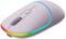 Фото - Миша бездротова Canyon MW-22 Dual Band RGB Wireless Pearl Rose (CNS-CMSW22PR) | click.ua