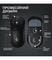Фото - Миша бездротова Logitech G Pro X Superlight 2 Black (910-006630) | click.ua