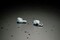 Фото - Bluetooth-гарнитура Asus ROG Cetra True Wireless SpeedNova White (90YH03Y0-BTUA10) | click.ua