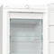 Фото - Морозильная камера Gorenje FN619EEW5 | click.ua