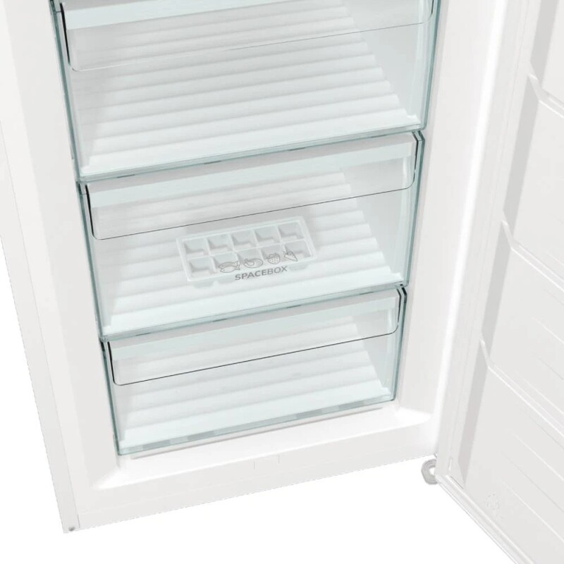 Морозильна камера Gorenje FN619FEW5