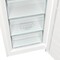 Фото - Морозильна камера Gorenje FN619FEW5 | click.ua