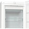 Фото - Морозильна камера Gorenje FN619FEW5 | click.ua