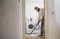 Фото - Пилосос Karcher D 5 S V-25/5/22 (1.628-350.0) | click.ua