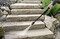 Фото - Мiнiмийка Karcher K 3 (1.601-888.0) | click.ua