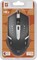 Фото - Мышь Defender Hit MB-601 Black (52601) | click.ua