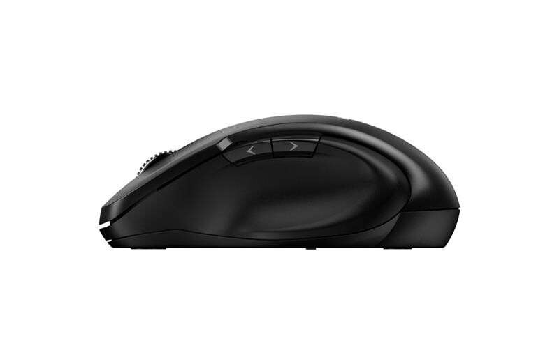 Мышь беспроводная Genius Ergo 8200S Black USB (31030029400)