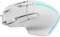Фото - Миша Canyon Fortnax GM-636 RGB USB White (CND-SGM636W) | click.ua
