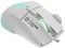 Фото - Миша Canyon Fortnax GM-636 RGB USB White (CND-SGM636W) | click.ua