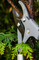 Фото - Сучкорез NEO Tools 765 мм (15-251) | click.ua