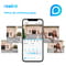 Фото - Відеодзвінок Reolink D340W (Video Doorbell Wi-Fi) | click.ua