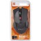 Фото - Мышь беспроводная Defender Accura MM-275 Black/Red (52276) | click.ua