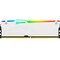 Фото - Модуль пам`ятi DDR5 32GB/5600 Kingston Fury Beast RGB XMP (KF556C40BWA-32) | click.ua