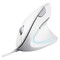 Фото - Миша Trust Verto Ergonomic White (25133) | click.ua