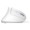 Фото - Миша Trust Verto Ergonomic White (25133) | click.ua