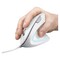 Фото - Миша Trust Verto Ergonomic White (25133) | click.ua