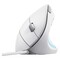 Фото - Миша Trust Verto Ergonomic White (25133) | click.ua