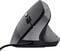 Фото - Миша Trust Bayo 2 Ergonomic Black (25144) | click.ua