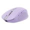 Фото - Мышь беспроводная Trust Ozaa Compact Multi-Device Purple (25384) | click.ua