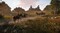 Фото - Игра Kingdom Come: Deliverance 2 для Sony PlayStation 5, Blu-ray (1143937) | click.ua