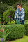 Фото - Кущоріз Bosch EasyHedgeCut 55 (0.600.847.C02) | click.ua