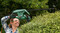 Фото - Кущоріз Bosch EasyHedgeCut 55 (0.600.847.C02) | click.ua